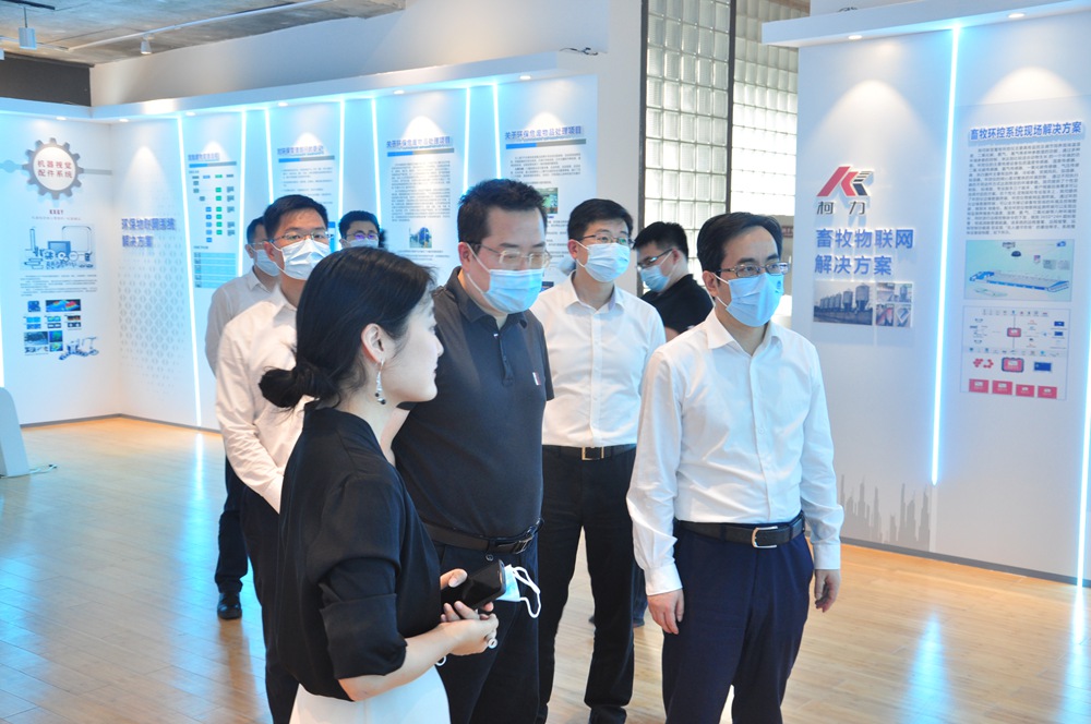 宁波市江北区委书记张国锋一行莅临betway西汉姆联传感考察调研