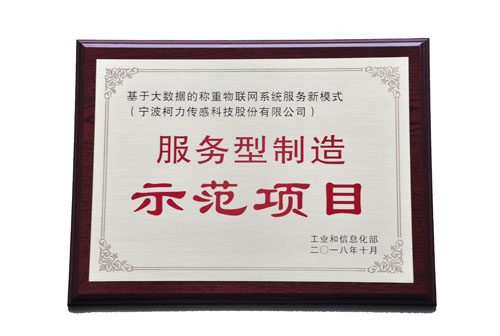 基于大数据的称重物联网系统服务新模式，荣获工信部“服务型制造示范项目”